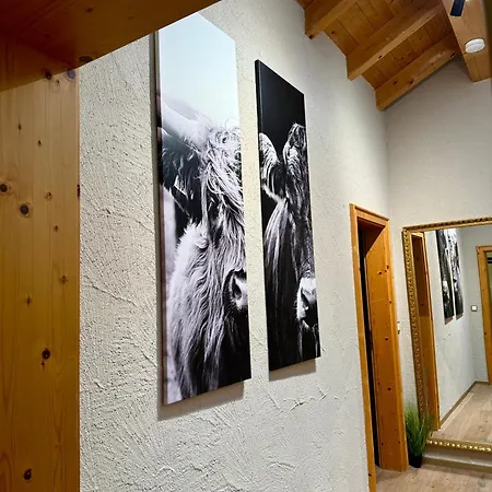Apartment Berglounge - Dein Allgaeuer Logenplatz